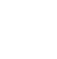 lighthouse properties logo blanc